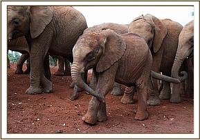 Kiasa with the other orphans