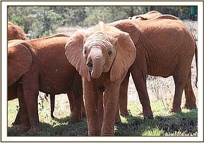 Mundusi has been naughty at feeding time