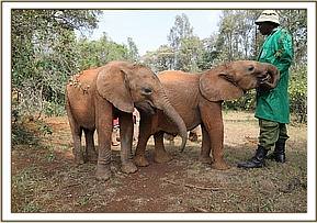 Sattao with Musiara