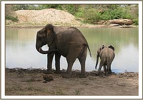 Wendi and Ithumbah drinking water