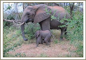 Yatta and her baby