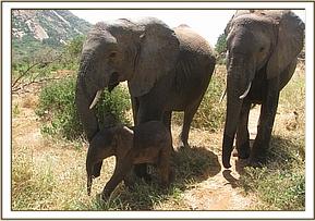 Wendi, Yetu and Yatta