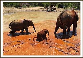 Mwende, Mulika's baby in the mud