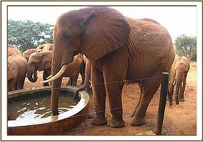 Laikipia with the ex-orphans today