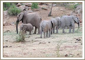 Wendi and Wiva with the orphans