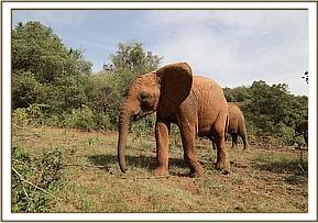 Mundusi going to join Ndotto