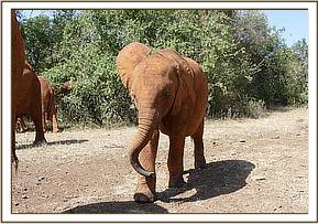 Ambo doesn't like Esampu all the time