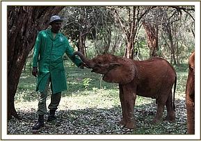 Orwa in the bush with a keeper