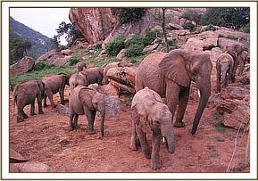 Nasalot with the juniors in the morning