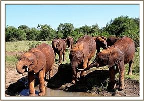 Arubba, Tundani and Sirimon in a natural pool