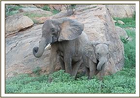 Mulika and Mwende