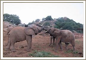 Orwa, right, plays with Kasigau