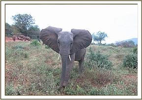 Ithumbah