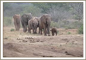 Baby Nusu leading Nasalot and other Ex Orphans