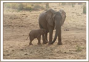 Sunyei and her baby Siku