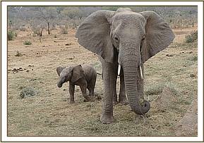 Nasalot and her baby Nusu