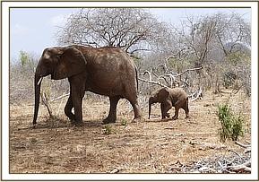 Nasalot with her fat little baby Nusu