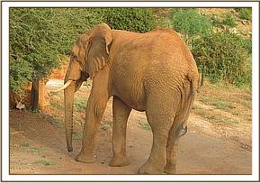 Laikipia heading off
