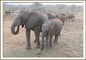 Mulika and her baby Mwende