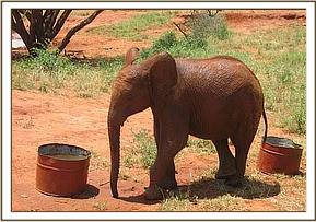 Lesanju drinking water