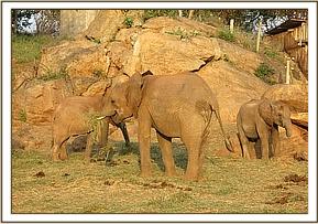 Lualeni with the juniors
