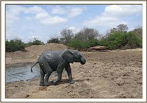 Lualeni completely covered in mud