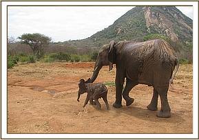 Wendi and baby Yetu