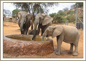 Mulika, Mwendi, Nasalot & Ithumbah