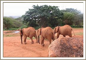 Lempaute, Kivuko and Dabassa at the back