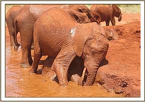 Even Sinya had a bath