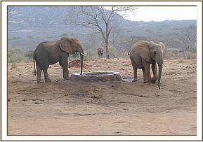 Ex Orphans Taita and Tomboi
