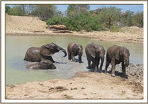 lualeni and orphans at mud bath