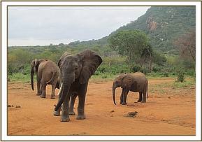 pembe moja, mulika & ithumbah
