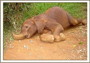 Lualeni has a rest