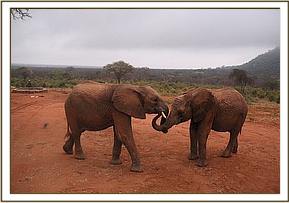 Orwa greeting Barsilinga