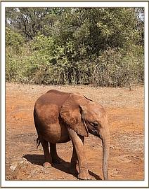 Maisha is a lovely girl