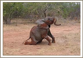 Sunyei performing acrobatics