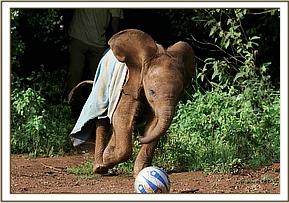 Lesanju in a playful mood