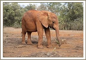 Mundusi trying to sneak away