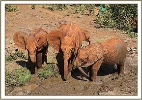 Emoli, Malima and Kiasa in the mud