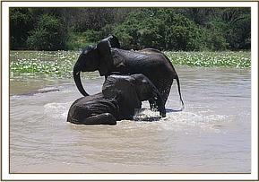Mulika and Kinna having fun in the water