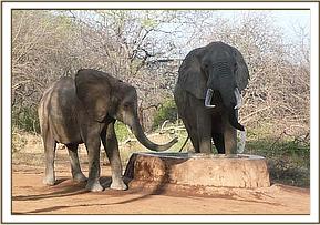 Mulika at stockade with her boy friend