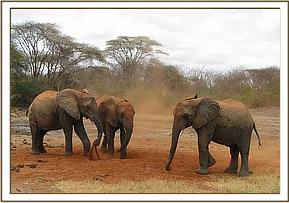 Galana, Wendi & Napasha at mud bath