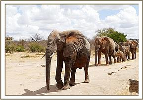 Sunyei leading the Ex Orphans