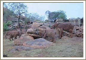 Lualeni joins the orphans in the morning