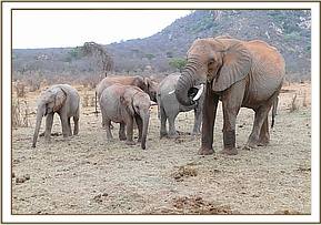 Taita with the orphans