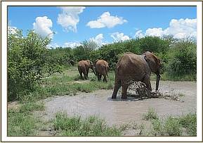 Lualeni plays with water