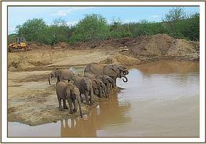 Lualeni at mudbath with the orphans
