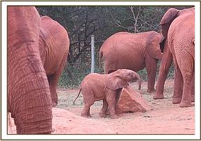 Emma enjoying a rock scratching game