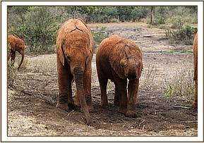 Kuishi with Enkesha